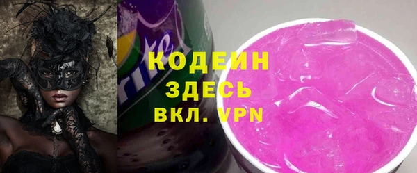 индика Заводоуковск