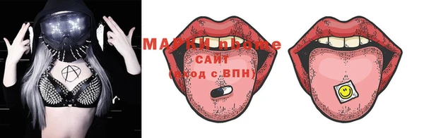 индика Заводоуковск