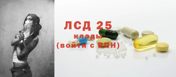 индика Заводоуковск