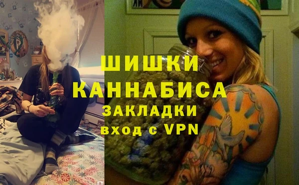 индика Заводоуковск