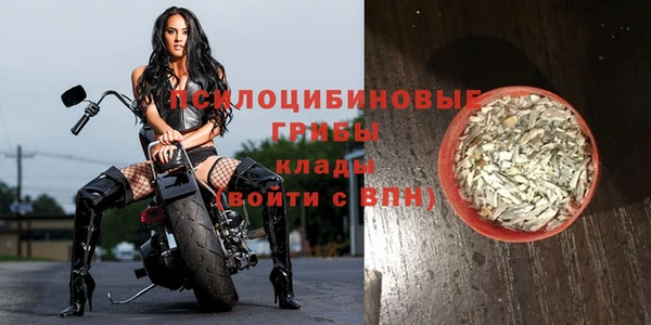 индика Заводоуковск