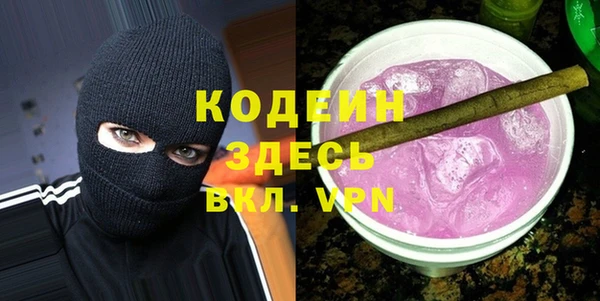 индика Заводоуковск