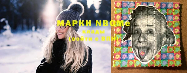 индика Заводоуковск