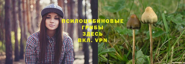 спайс Заволжск