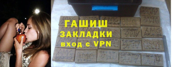 индика Заводоуковск